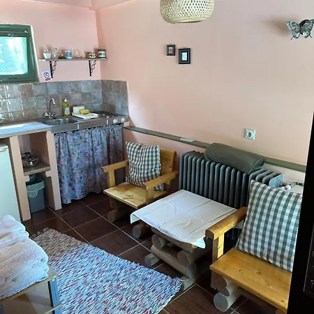 Guest house Pikec *