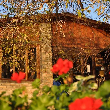 ゲストハウス Pikec 3*