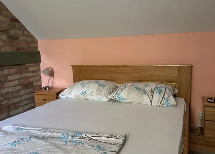 Pikec ゲストハウス Bezdan