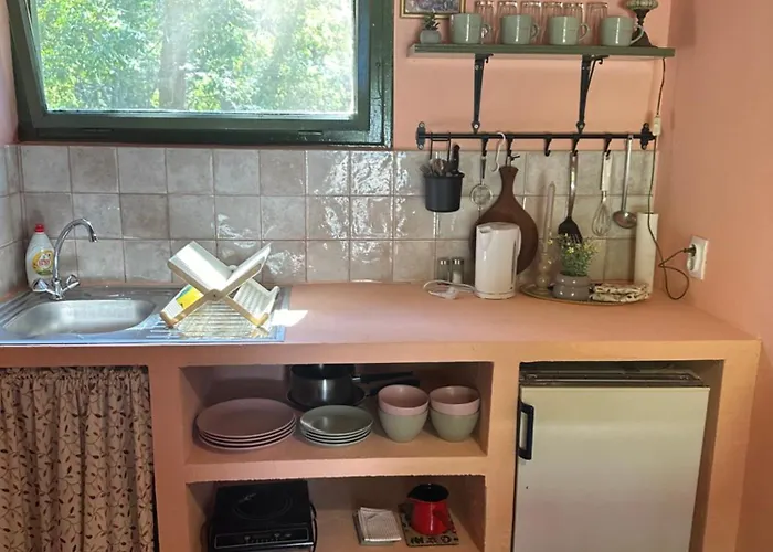 Pikec ゲストハウス Bezdan