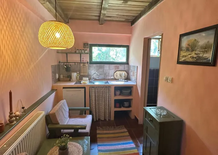 ゲストハウス Pikec Bezdan