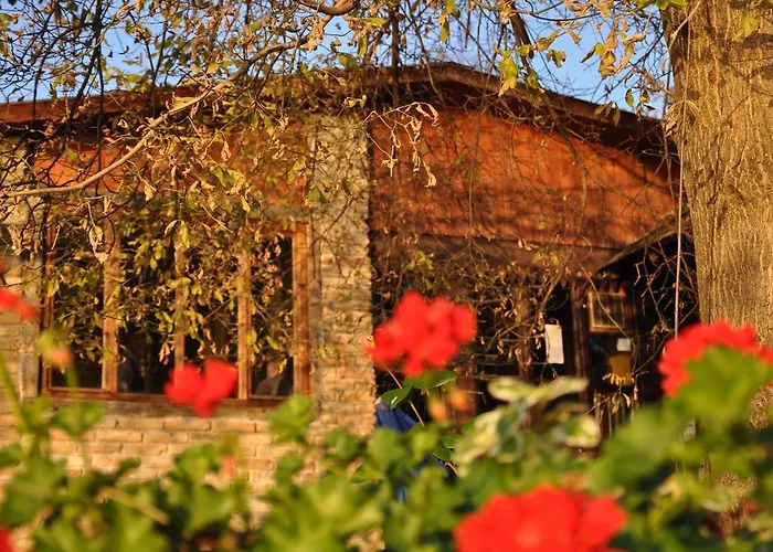 ゲストハウス Pikec 3*